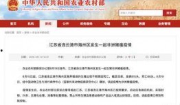 江苏疫情最新爆料,多区域现新增病例，防控形势严峻